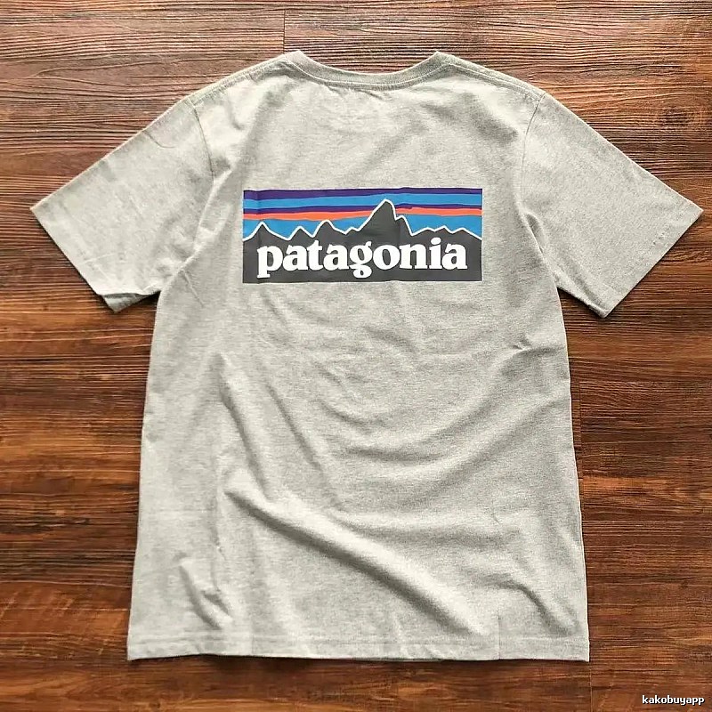 Patagonia Light Gray Logo T-Shirt Streetwear Look Graphic